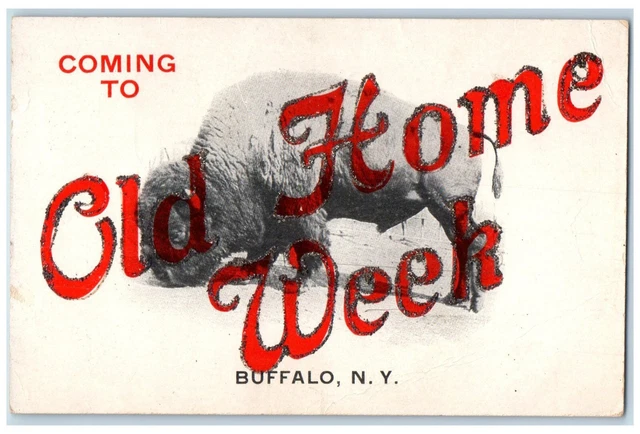 c1910 Coming to Old Home Week Buffalo New York NY Glitters Posted Postcard