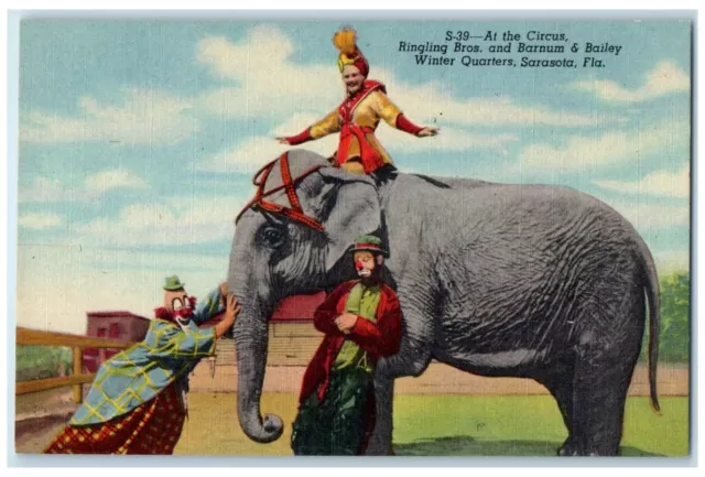 c1940 Circus Ringling Bros. Barnum Bailey Quarters Sarasota Florida FL Postcard