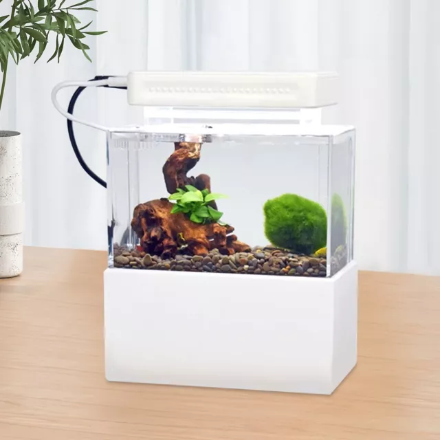Mini Fish Tank Kit Desktop Aquarium with Water Filtration LED & Quiet Air Pump