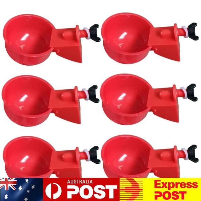 6Pcs Chicken Feeder Automatic Livestock Feeding Watering Supplies (Red)