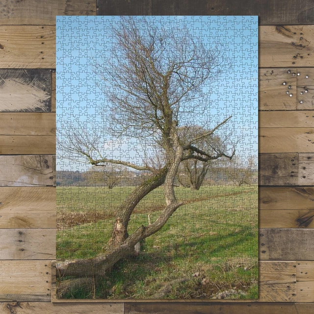 1000 piece puzzle for adults: Nature Landscape Tree Summer