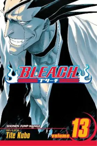 ART] New official BLEACH art of Ichigo and Rukia by Tite Kubo for the  upcoming BLEACH eOneBook with digital versions of all 74 manga volumes :  r/manga