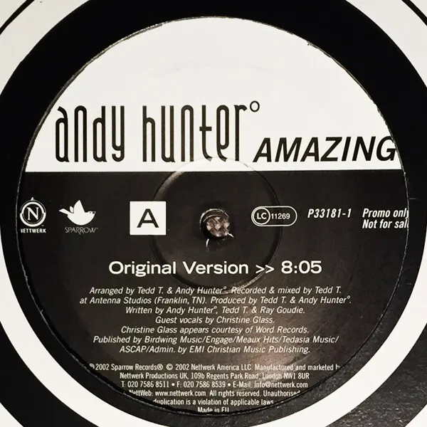 Andy Hunter - Amazing (2x12", Single, Promo)