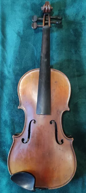 Violino 4/4 con Etichetta Bergonzi