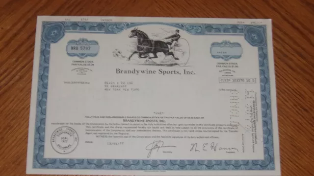 Brandywine Sports Stock Certificate Issued 1977 for 1 Share