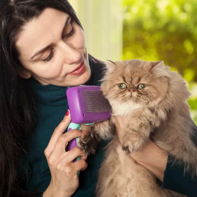 Pet Brush Hair Remover Dog Cat Comb Grooming Massage Deshedding Self Cleaning