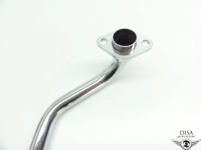 Datte - 1 kg DLC: Mars26 main image 0