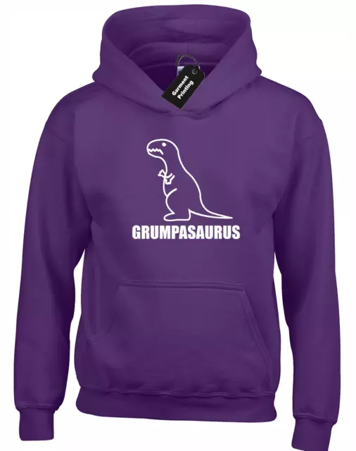 Grumpasaurus Hoody Hoodie Funny Joke Printed Novelty Design Cute Dinosaur Dad