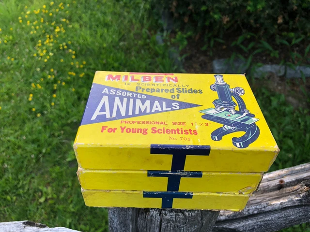 MILBEN Microscope Prepared Slides (3) W/ Original Boxes