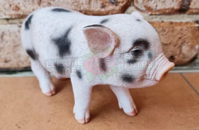 Garden Resin Animal Statue Ornament Pet Pink Black Spots Standing Pig Piglet