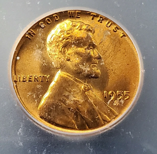 1955 S Lincoln Wheat Cent Penny Coin ICG MS67 RED RD Gem BU Used slab case