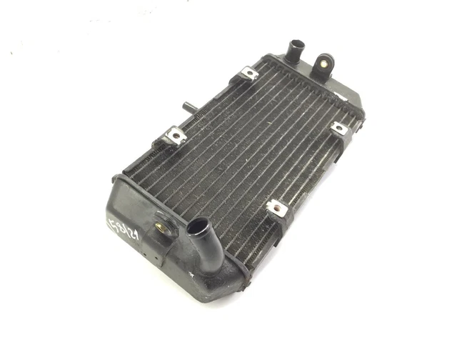 Couvercle Moteur Pour Yamaha YP 250 Majesty (1995-1999) - Pièce D'occasion - Réf. 108932