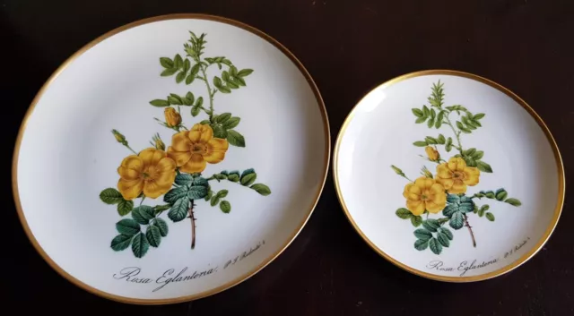 2 x Hutschenreuther Wandteller Zierteller Rosa Eglanteria Goldrand  Ø 16 & 23 cm