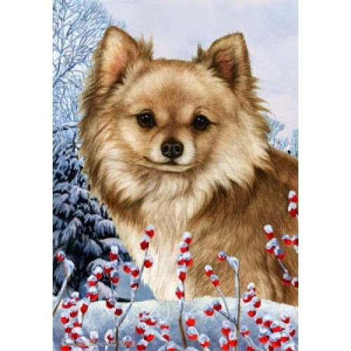 Winter House Flag - Longhaired Cream Chihuahua 15145