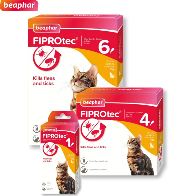 Beaphar Fiprotec Cat Spot On Flea Treatment Kills Fleas & Ticks Cats Over 1Kg