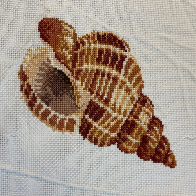 Trompeta caracol de mar con aguja completa sin marco