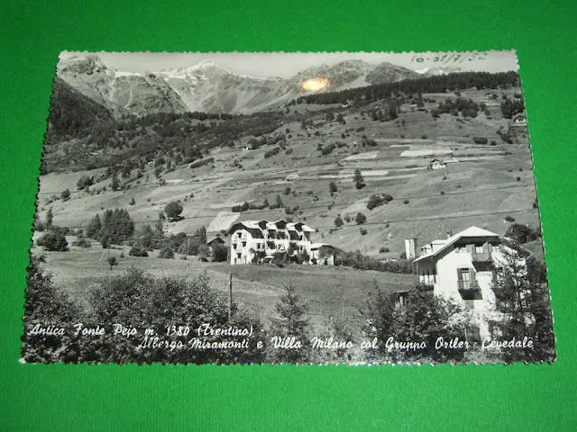Cartolina Antica Fonte Pejo - Albergo Miramonti e Villa Milano 1950 ca