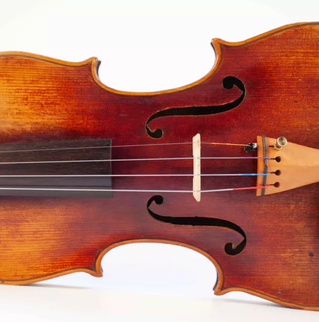 old fine violin A. LUCERI 1864 viola cello violon violino fiddle alte geige 4/4