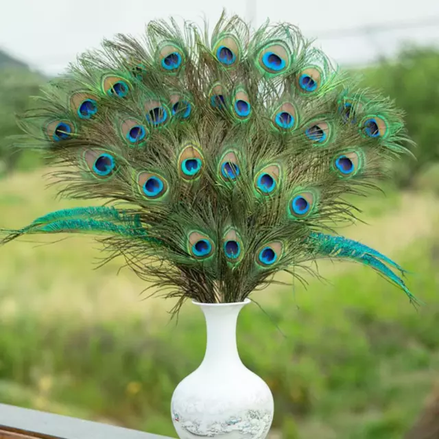 Natural Peacock Tail Eyes Feathers Long BOUQUE Deco