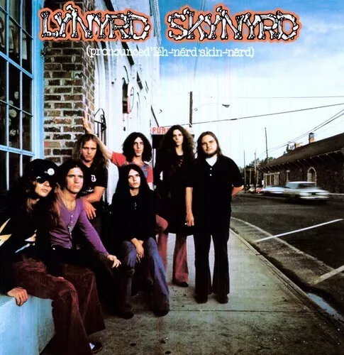 Lynyrd Skynyrd - (pronounced 'leh-'nérd 'skin-'nérd) Original LP MCA-363 VG+/VG+