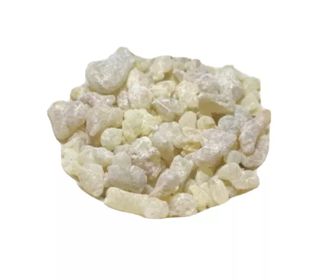 Oliban Encens (Boswellia Royal Sacra Hojari Premium Yemen Island SOCOTRA 500g