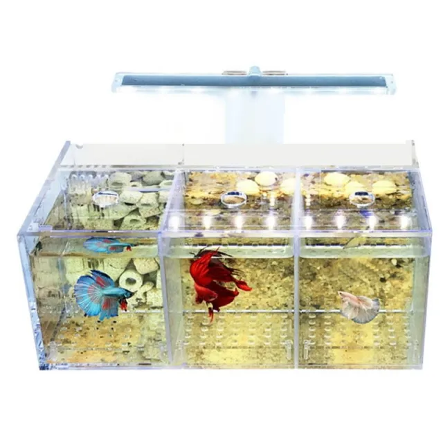Aq LED Acrylic Fish Tank Set Desktop Light Water Pump Filters-Triple T7D6