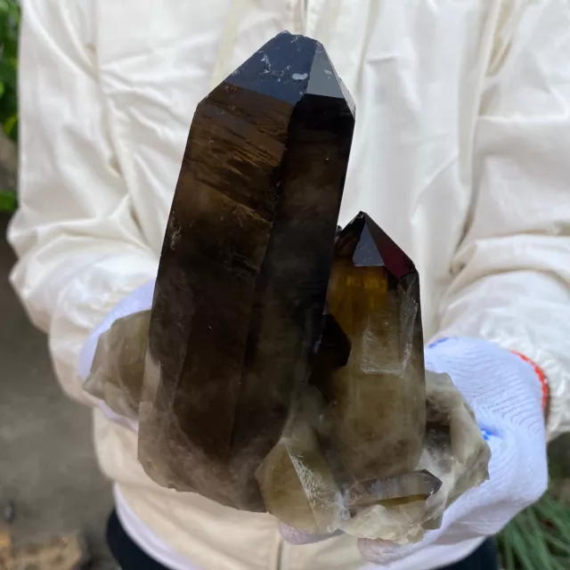 3.5lb Large Natural  Smoky Black Quartz Crystal Cluster Raw Mineral Specimen