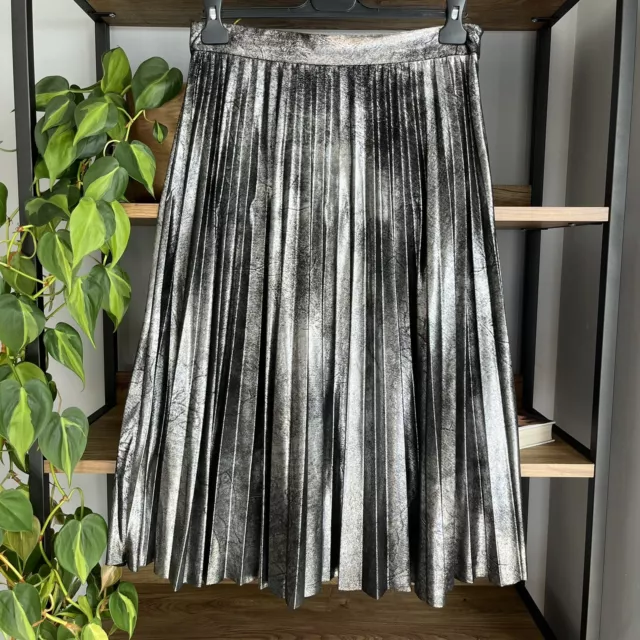 Zara | Skirts | Zara Metallic Pleated Skirt | Poshmark