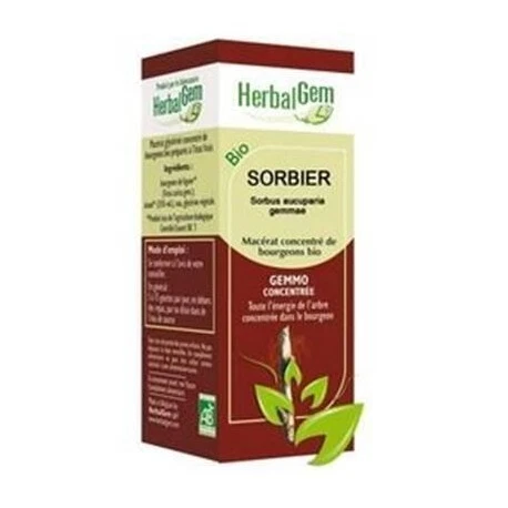 GEMMOBASE Sorbier