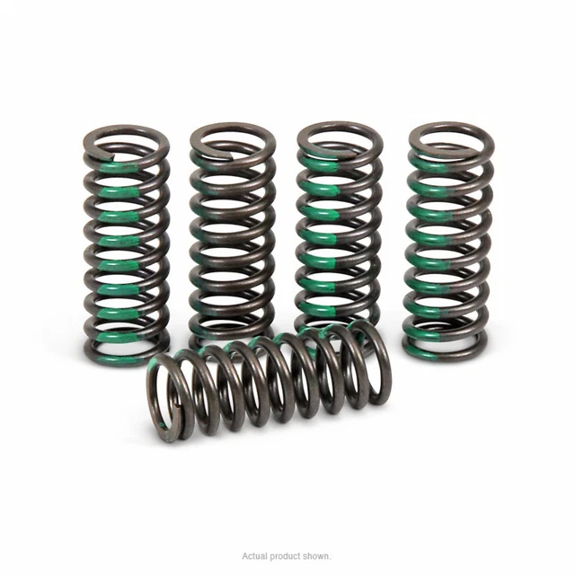 Performance Clutch Springs Pro Circuit CSK10250-CS