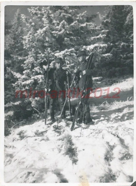 Foto, 3.Btl.Geb.Jg.Rgt.100, Hochgebirgsübung, die Vorposten auf Ski, 5026-449