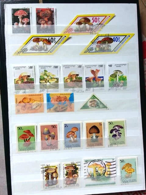 Collection De 100 Timbres Sur Le Thème Des Champignons - Pour Philatélistes Et Collectionneurs - Qualité Prophila - 5