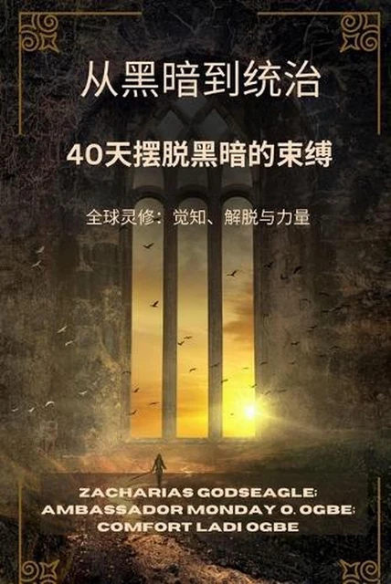 - 40: ????:???????? by Zacharias Godseagle (Chinese) Paperback Book - 40: ????:???????? by Zacharias Godseagle (Chinese) Paperback Book