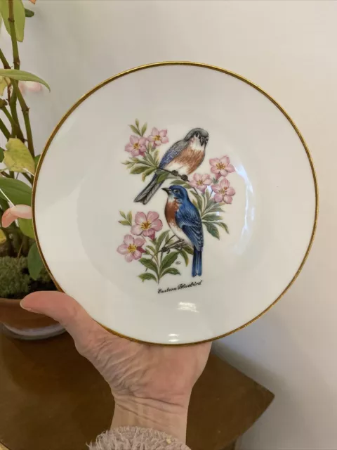 Vintage Bareuther Waldsassen Blue Bird Bavaria Germany porcelain Plate 8” 213