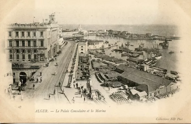 Carte Postale / Postcard Algerie / Lot De 3 Cartes Alger Divers Vues