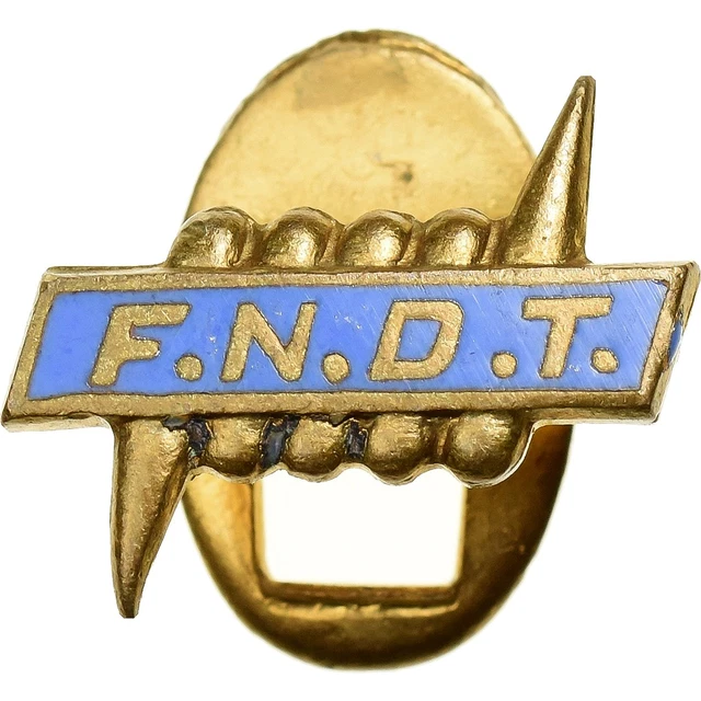 BG8196 - INSIGNE BADGE FEDERATION NATIONALE ANCIENS COMBATTANTS NON