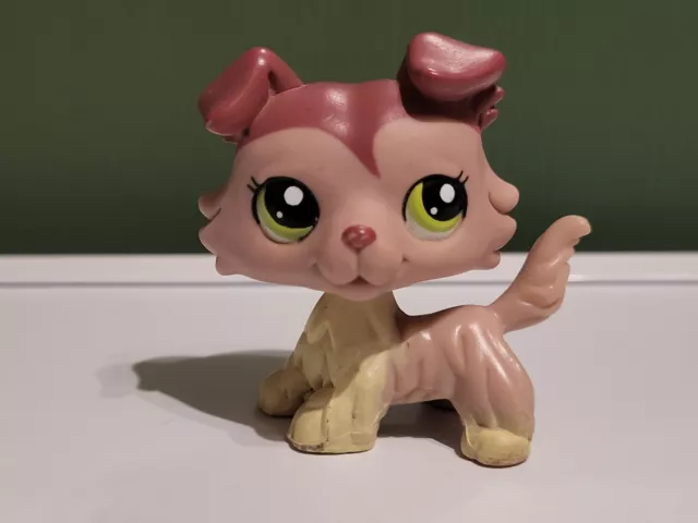 Lps #1723 Littlest Petshop Original Authentique Chien Colley Dog Collie Hasbro