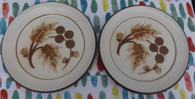 Denby  Cotswold Plates 9 7/8th Inch  Pair   £14.99 (Post Free UK)