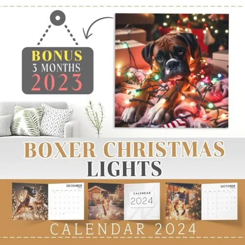 Joe Boxer Christmas Commercial 2024 2024 Meta Susana