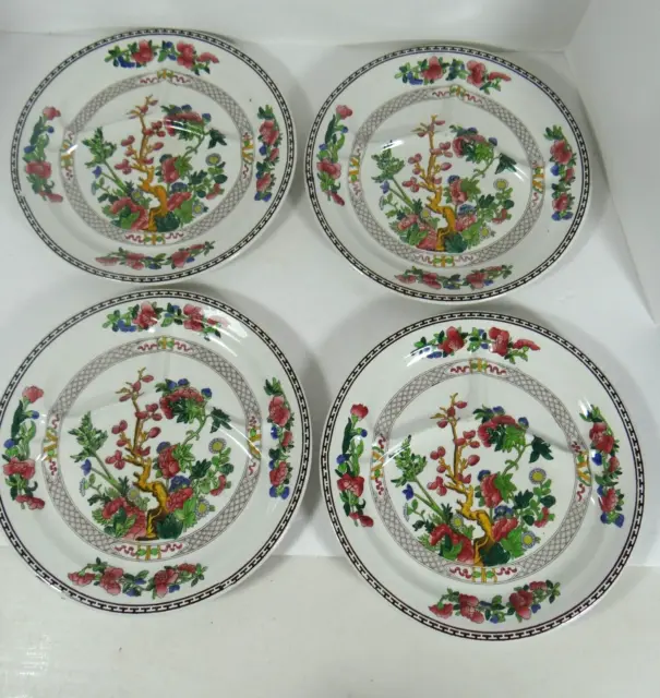 Booths Indian Tree Grill Plates Set of 4 Greek Key Edge Silicon China Crazing