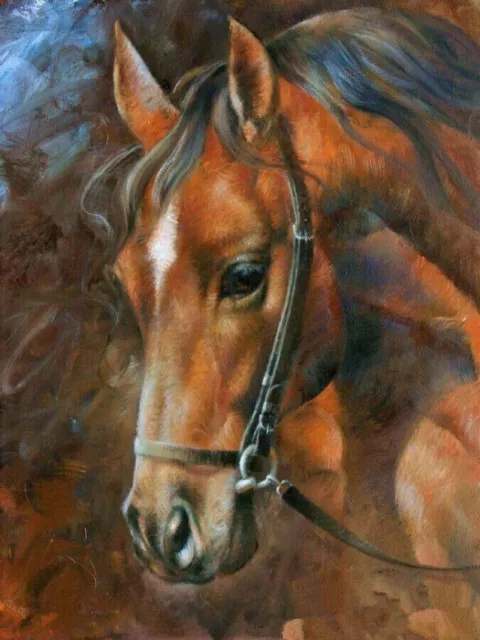 CHOP1619   100% hand-painted fancy animal horse oil painting art on canvas