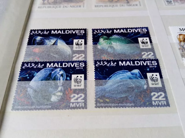 Maldives Sealife - Wwf Mnh Stamp Set