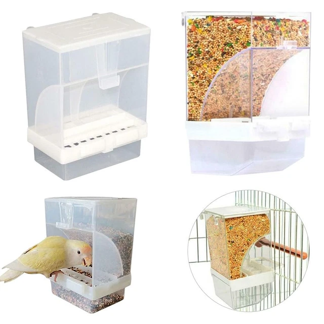 Mangeoire automatique pour oiseaux Conteneur Perroquet Mangeoire à pigeons