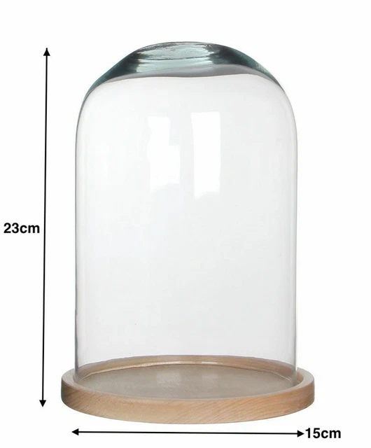 Cloche En Verre Transparent Avec Base En Bois - 10x16cm - Pour Décoration, Présentation De Gâteaux, Objets Précieux - 10