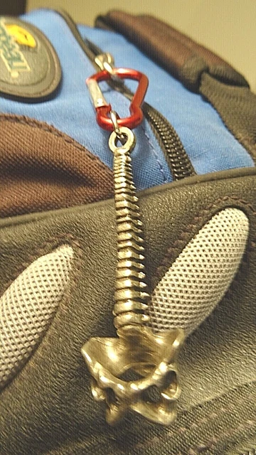 spine