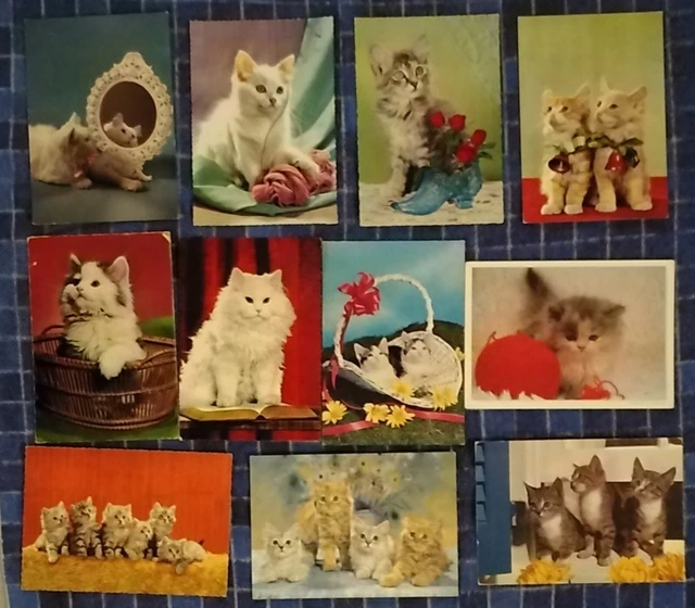 LOTTO CARTOLINE ANIMALI GATTI e CANI 11pz ILLUSTRATE a COLORI VIAGGIATE