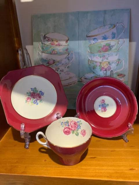 Vintage Rare Shelley "Roses" Tea Cup Trio Set - Exquisite Floral Bone China.