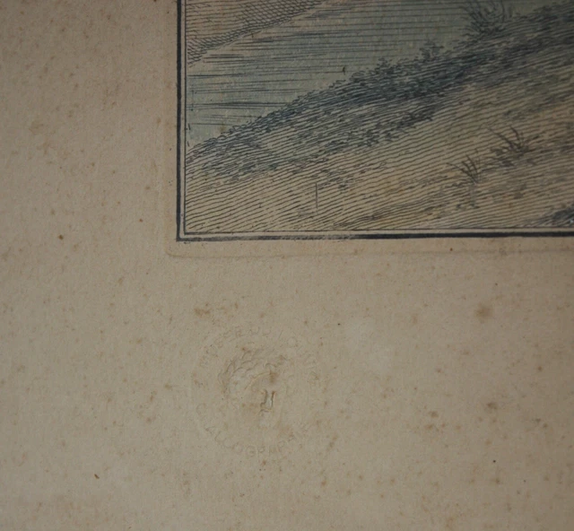 Gravure Ancienne Rare Portrait D'homme XIXe Siècle Franciabigio 1867 - Grand Format Signé