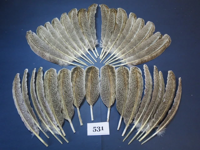 32 piezas plumas de ala de pavo, ataduras de mosca, artesanía hecha a mano, pavo híbrido (531)