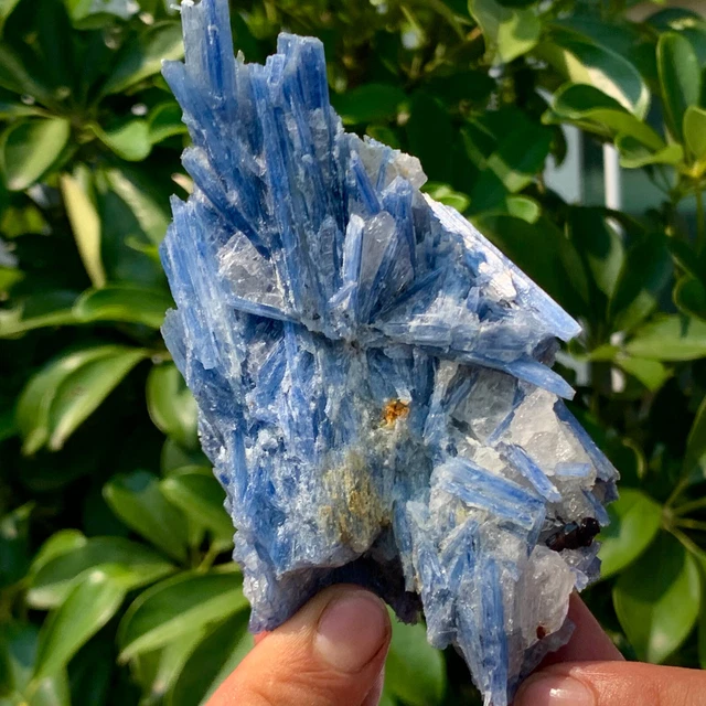 292G Rare!! Natural beautiful Blue KYANITE with Quartz Crystal Specimen Rough